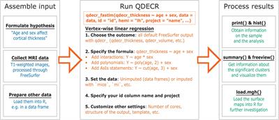 QDECR: A Flexible, Extensible Vertex-Wise Analysis Framework in R